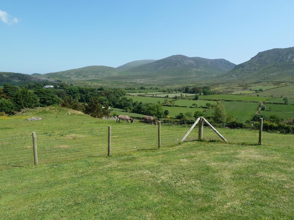 Gorse Hill Glamping Hotel Newcastle  Buitenkant foto